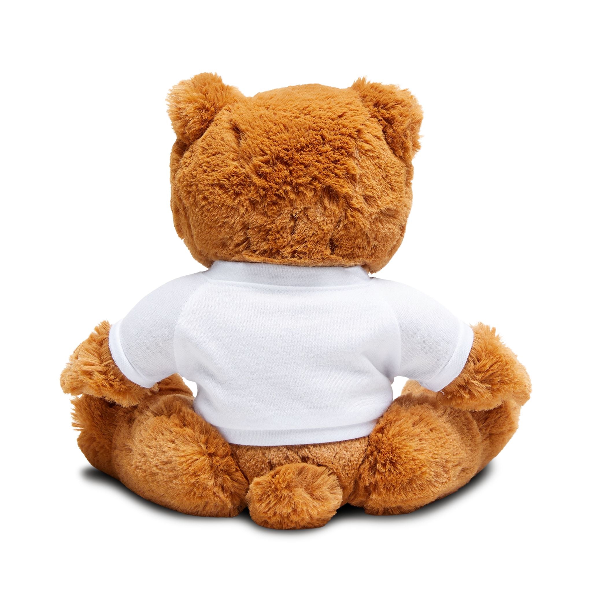 Valentine Teddy Bear with 'Be Mine' T-Shirt — Plush Gift for Kids & Couples